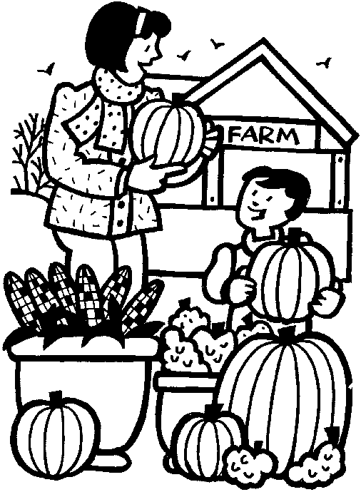 Picking pumpkins at the farm