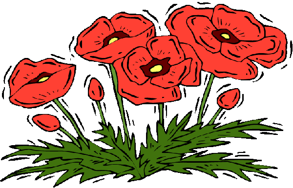 People buy red paper poppies in memory of those killed. The money from poppy sales helps disabled and needy soldiers.